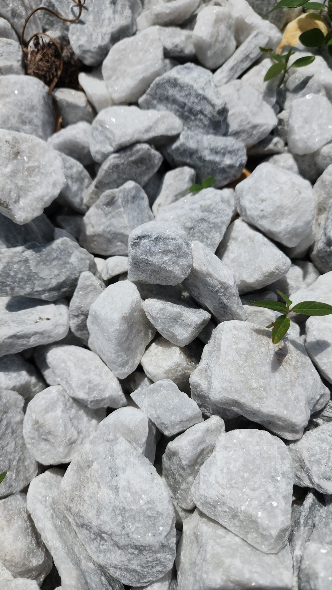 White Marble - Half Yard