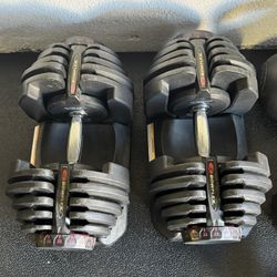 Bowflex 10-90lb Adjustable Dumbells