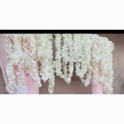 Wisteria  Pink And White 