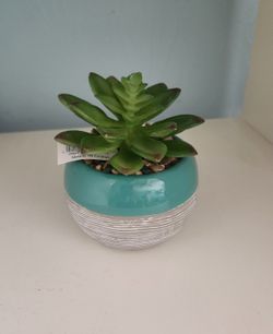 Lot of 4 Faux Succulents NEW!!