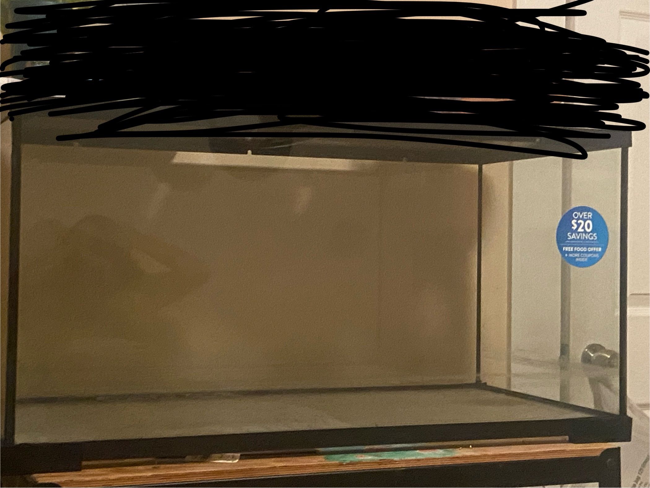 50 Gallon Turtle Tank (Need Gone Asap)