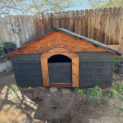 Dog house 