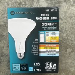 Indoor Flood Light 