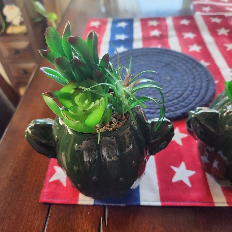 Artificial Succulent Plant