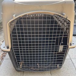Large Dog House 