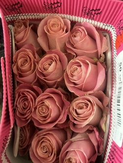  Vendemos Rosas Ecuatorianos 