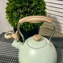 Just Teazen Tea Kettle 