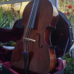CARLO ROBELLLI CELLO