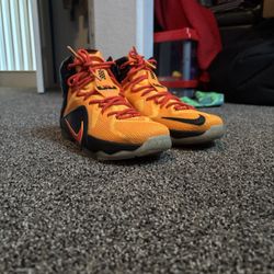 Nike Labron Witness 