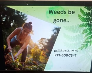 We Can Come Do All Your Gardening. Pulling Weeds, Clipping, Ect.