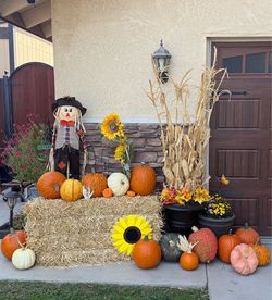 Fall / Halloween Porch Decorating