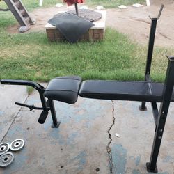 Exercise Bench