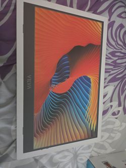 Portable Monitor