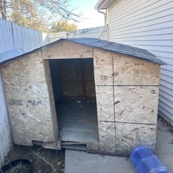 Dog House 