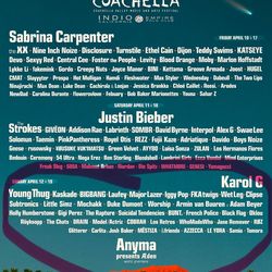 1 Coachella weekend 2 (Sunday only)