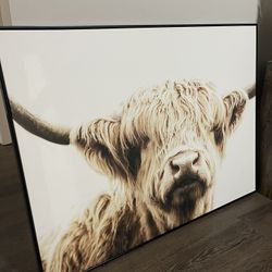 Highland Cow Picture, Hobby Lobby, Colored