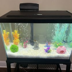 40 Gallons Fish Tank