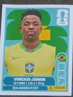 Fifa panini stickers
