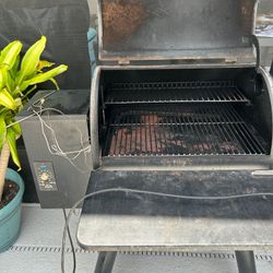 Traeger Pro 22 Smoker