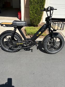Nice Adult Class 2 E-Bike
