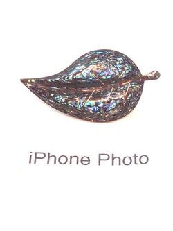 Vintage abalone signed brooch