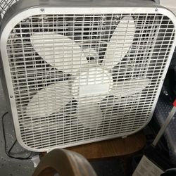 Fan