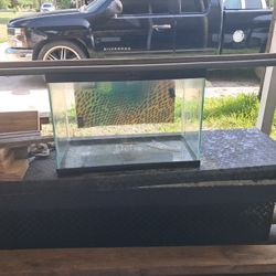 Small Aquarium 
