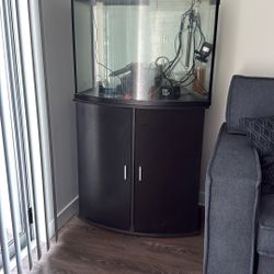 Fish Tank
