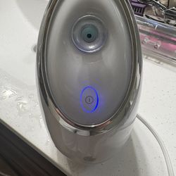 Facial Steamer