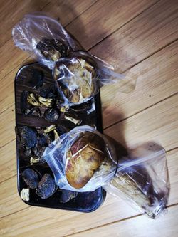 Hand picked 🍄 mushrooms
