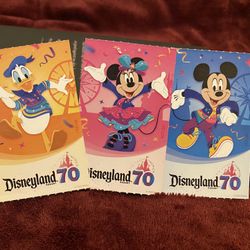 Disneyland Tickets 