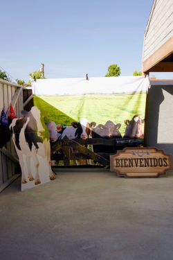 Western Photo Booth Backdrop & Cow