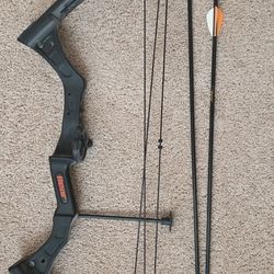 Youth Bear Compound Bow