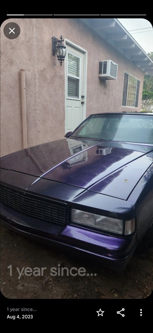 G-BODY 81 MONTE CARLO