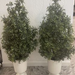 Artificial plant 40”  tall.  2x $60