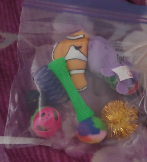 CAT TOYS
