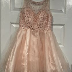 Blush Pink Dress Size Large 