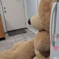 Teddy Bear For Sale