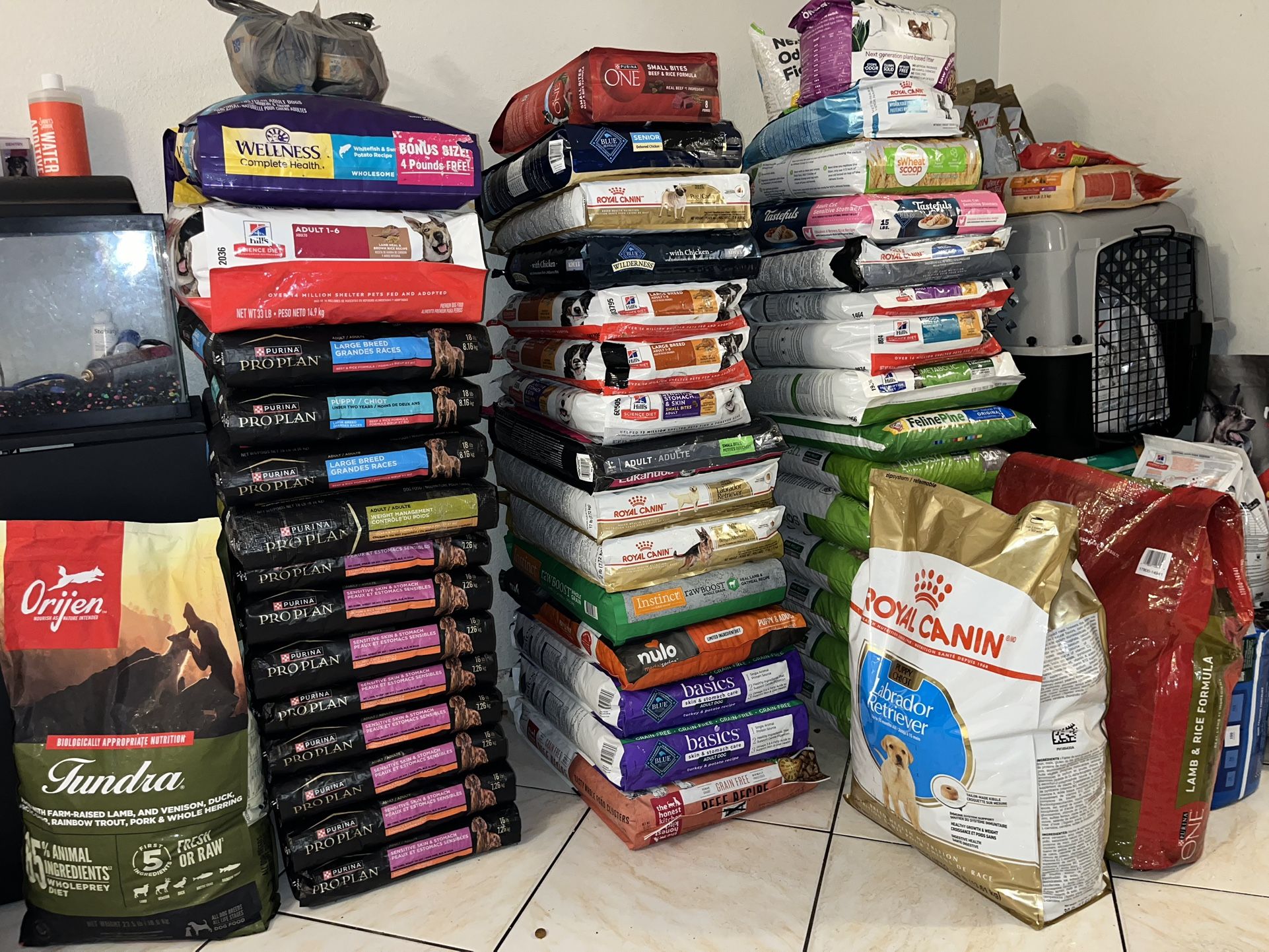Dog Food