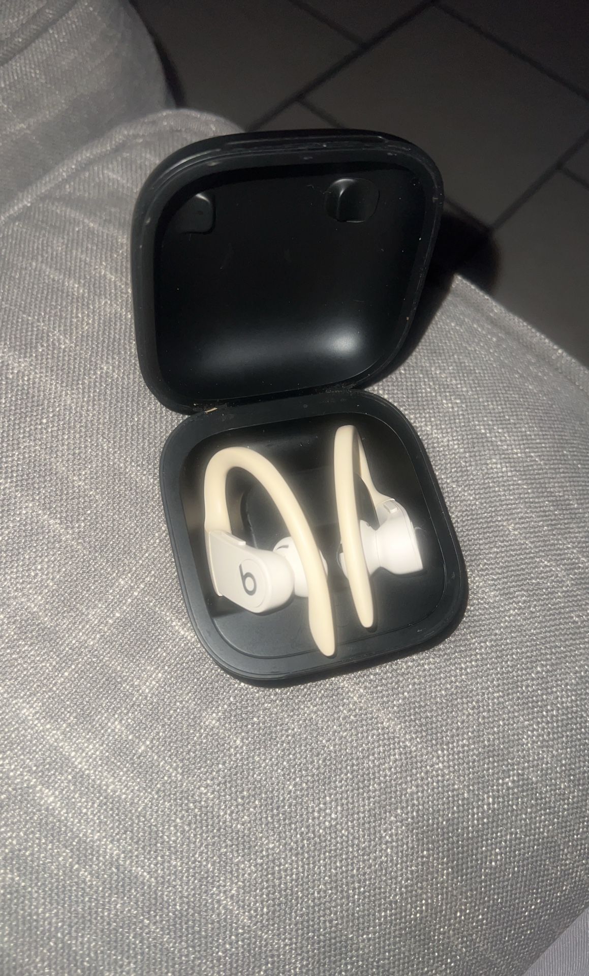 Beats Powerbeats Pro Wireless Earbuds