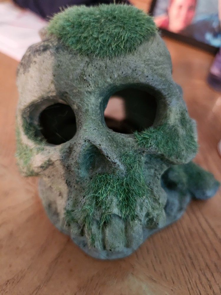 Skull for Fish Tank Or Aquarium