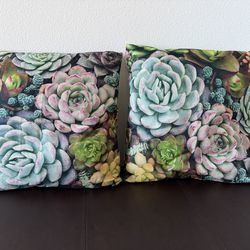 2 Outdoor Pillows New!