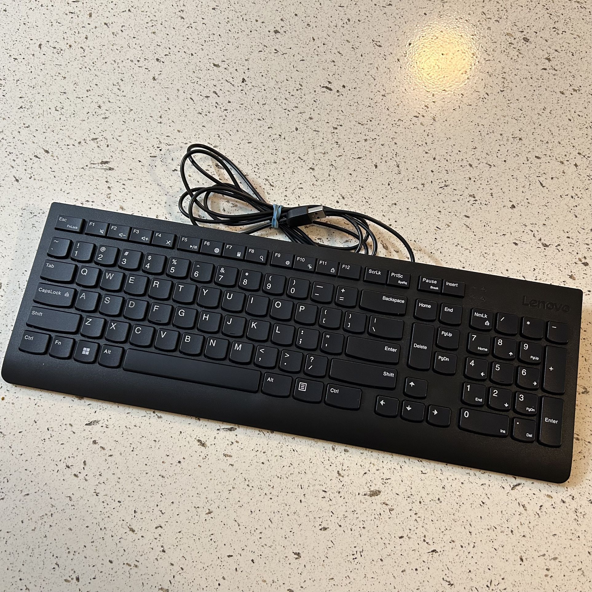 Lenovo Matte Black Essential Wired Keyboard
