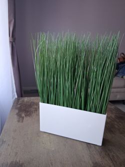Fake plant