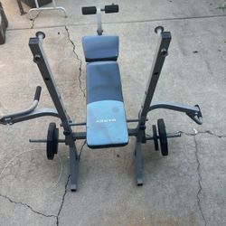 Adjustable Weight Bench Set/1 Full Body Workout Weight Bench 