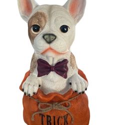 Trick Or Treat Frenchie