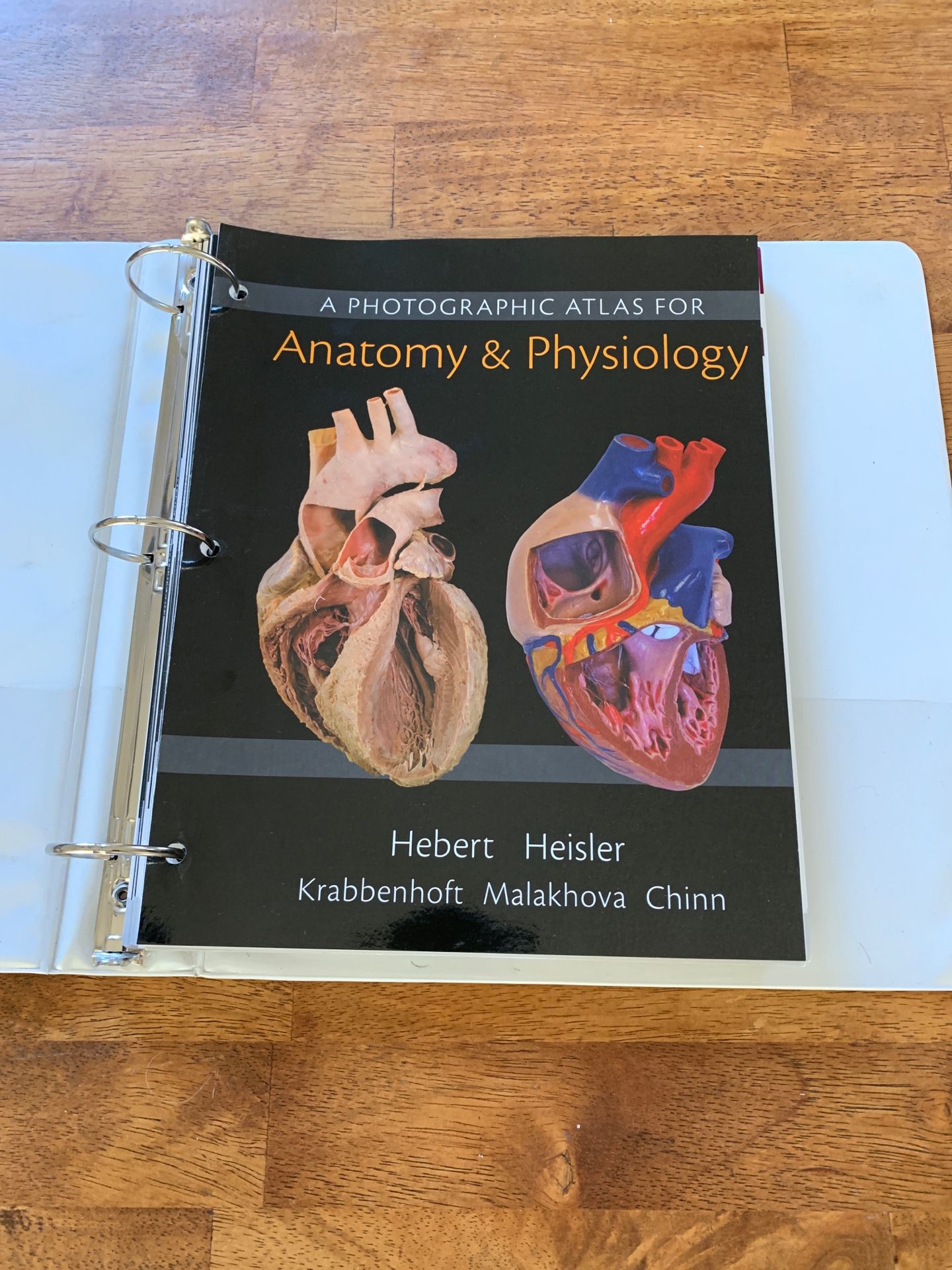 A Photographic Atlas For Anatomy & Physiology