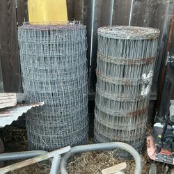 Goat Stands And Two Fences 