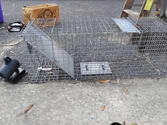 A live animal trap