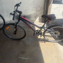 Infinity crazyhorse hT24 mountain bike